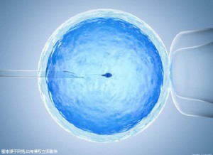 林主任
